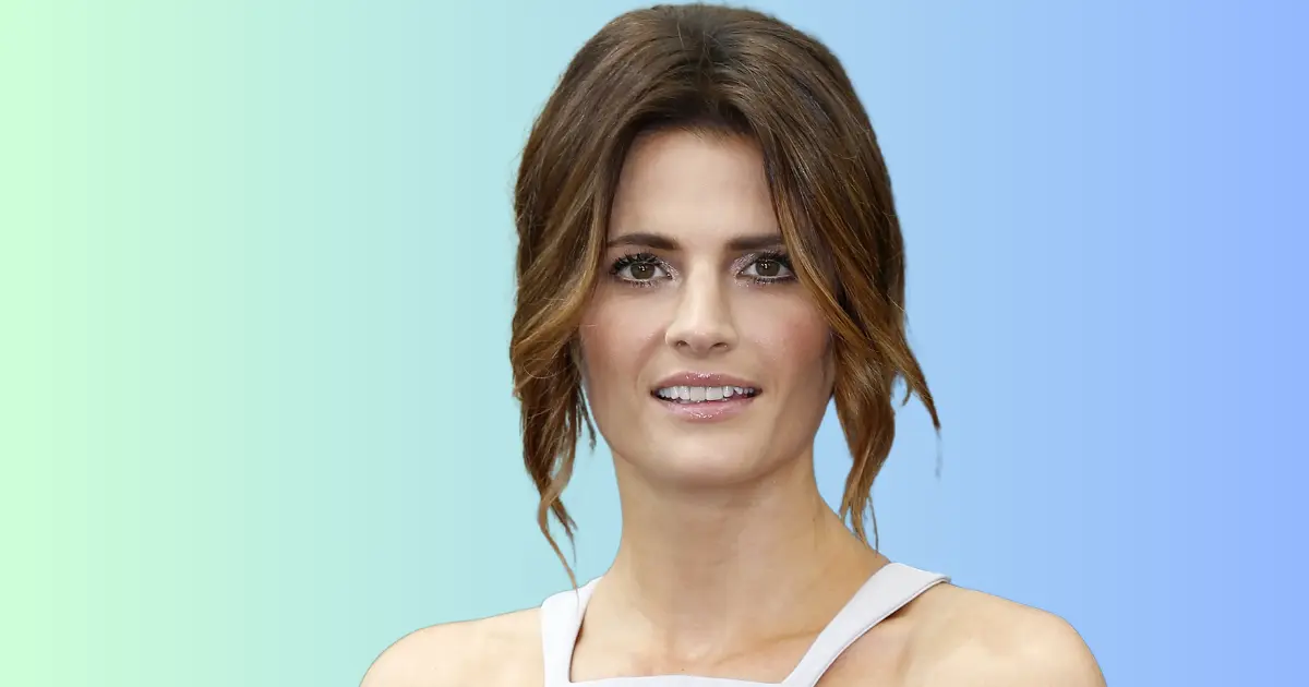 what is stana katic doing now